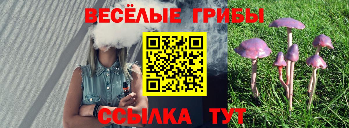 Михайловск  Галлюциногенные грибы Psilocybe  наркошоп  Вход с VPN 